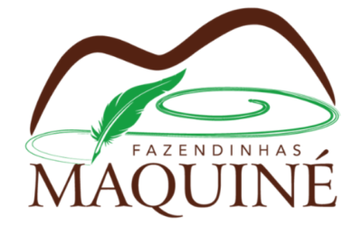 FAZ MAQUINÉ